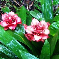 Diane Alexander Photo 5