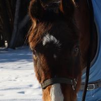 Rachel Kerns Photo 10