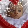 Shahid Amin Photo 22