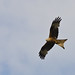 Chris Watlington Photo 4