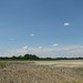 Lee Marsh Photo 20