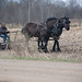 Tom Wold Photo 26