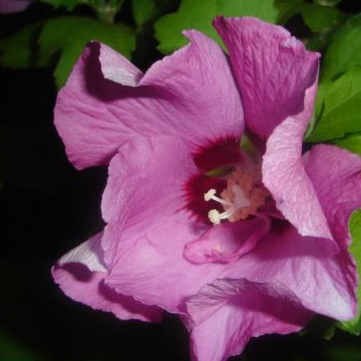 Heather Curry Photo 25