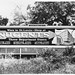 William Haefner Photo 3