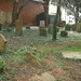 Mary Giles Photo 29