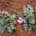 Bill Plant Photo 10