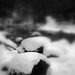 James Shaver Photo 26