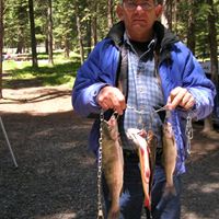 Ronald Lang Photo 23
