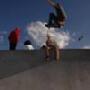 John Kenney Photo 19