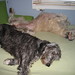 Alva Sweet Photo 4