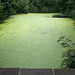 Brent Park Photo 14