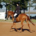 Candice Rush Photo 14