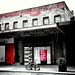 Diane Mancuso Photo 19