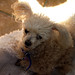 Ginger May Photo 16