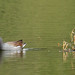 Craig Common Photo 9