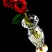 Rose Rojas Photo 22