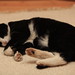 Dennis Weber Photo 41