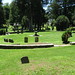 Sharon Graves Photo 43