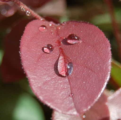 Janice Miller Photo 14