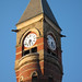 Richard Levitan Photo 8