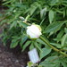Glen Saunders Photo 11