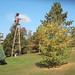 Walter Bright Photo 30
