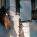 James Moffatt Photo 41