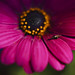 Matthew Wills Photo 24
