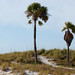 Jeff Haines Photo 27