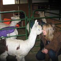 Michelle Gipson Photo 4