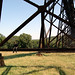 Terry Bridges Photo 28