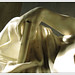 Norman Carmel Photo 6