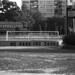 Robert Wentworth Photo 34