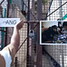 Kapil Puri Photo 12