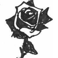 Rose Rosado Photo 5