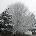 Linda Farlow Photo 13