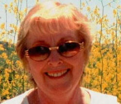 Sue Davis Photo 18
