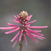 Bill Plant Photo 13