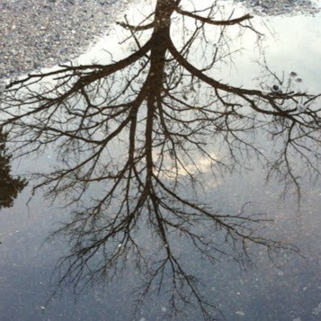 David Kushner Photo 47