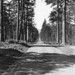 William Mckenzie Photo 21