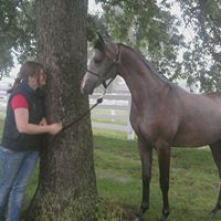 Michelle Shutts Photo 1