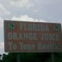 John Blevins Photo 36