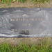Richard Skaggs Photo 24