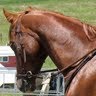 Carol Layton Photo 18