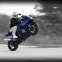 David Woodward Photo 15