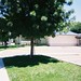 Edna Hill Photo 37