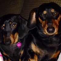 Janet Finney Photo 8
