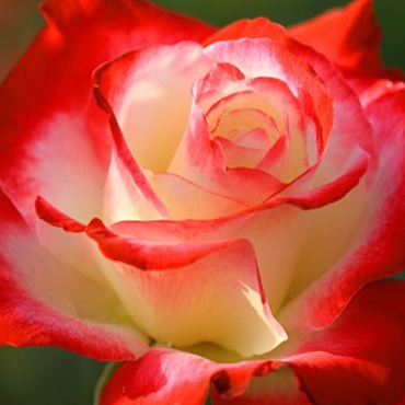 Carmen Montes Photo 34