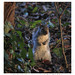 Anne Park Photo 22