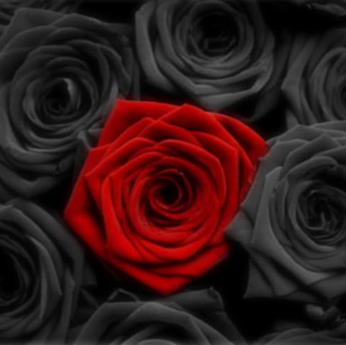 Rose Garcia Photo 26
